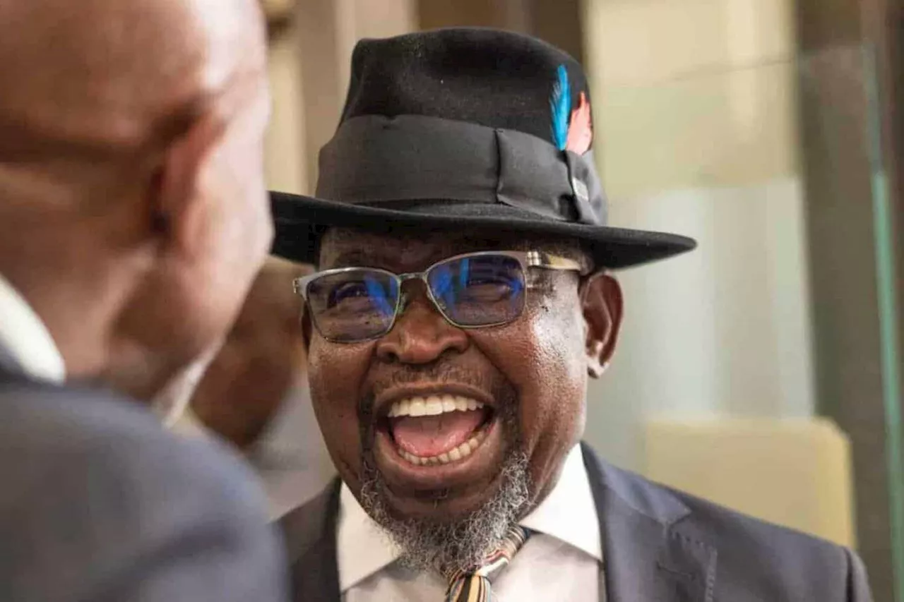 ‘Decision has been made’: Godongwana argues VAT hike can’t be blocked, opposes DA’s interdict
