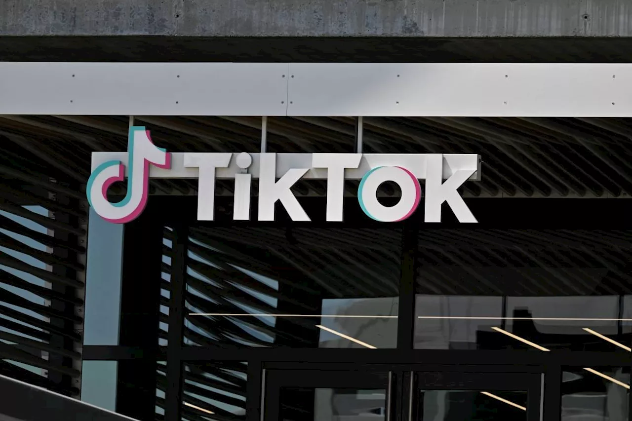 TikTok tests letting users add informative 'Footnotes'