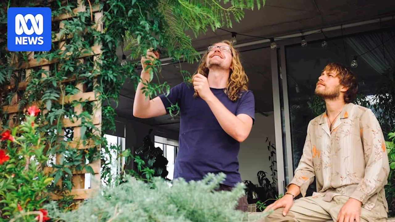 How to make your balcony feel like a garden