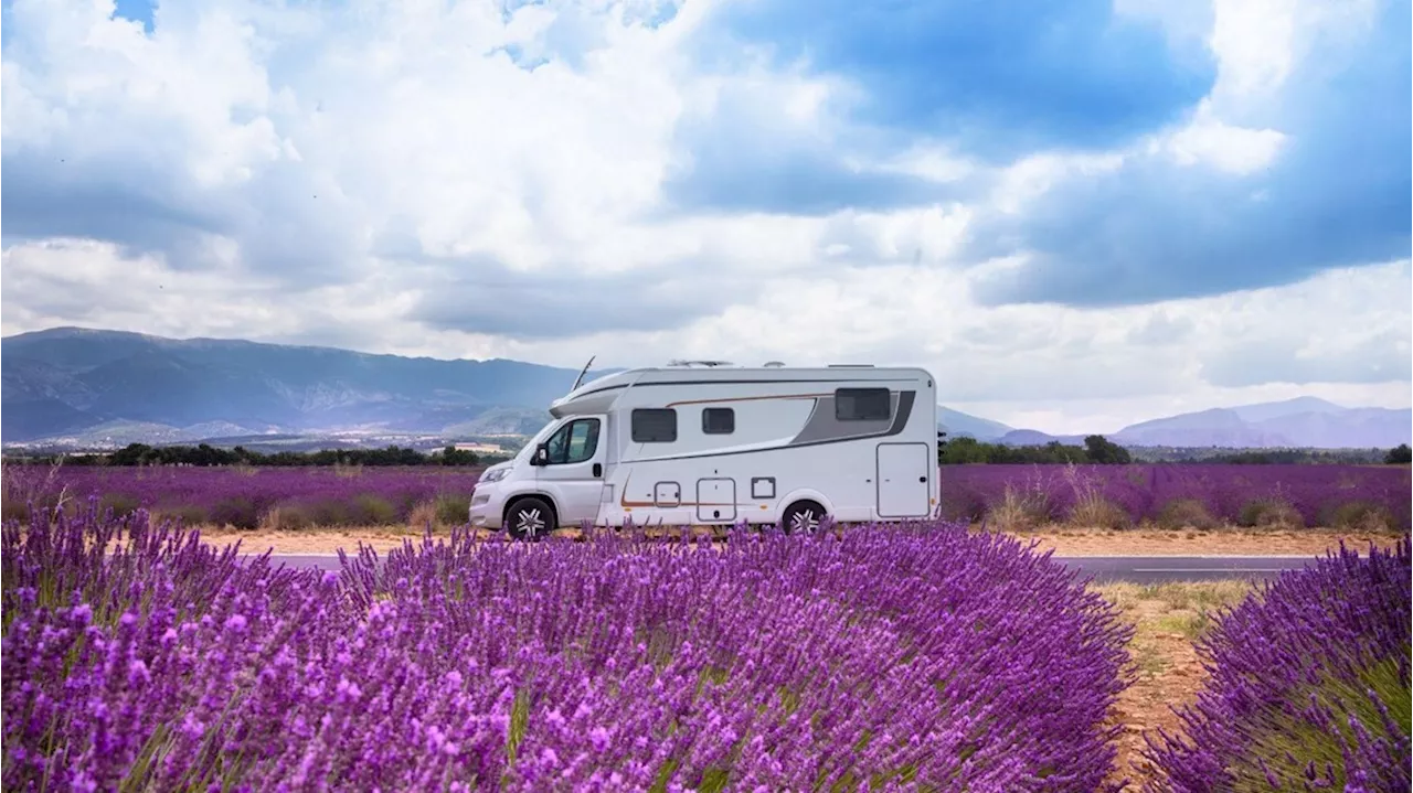 In camper tra le fioriture meno note d'Italia