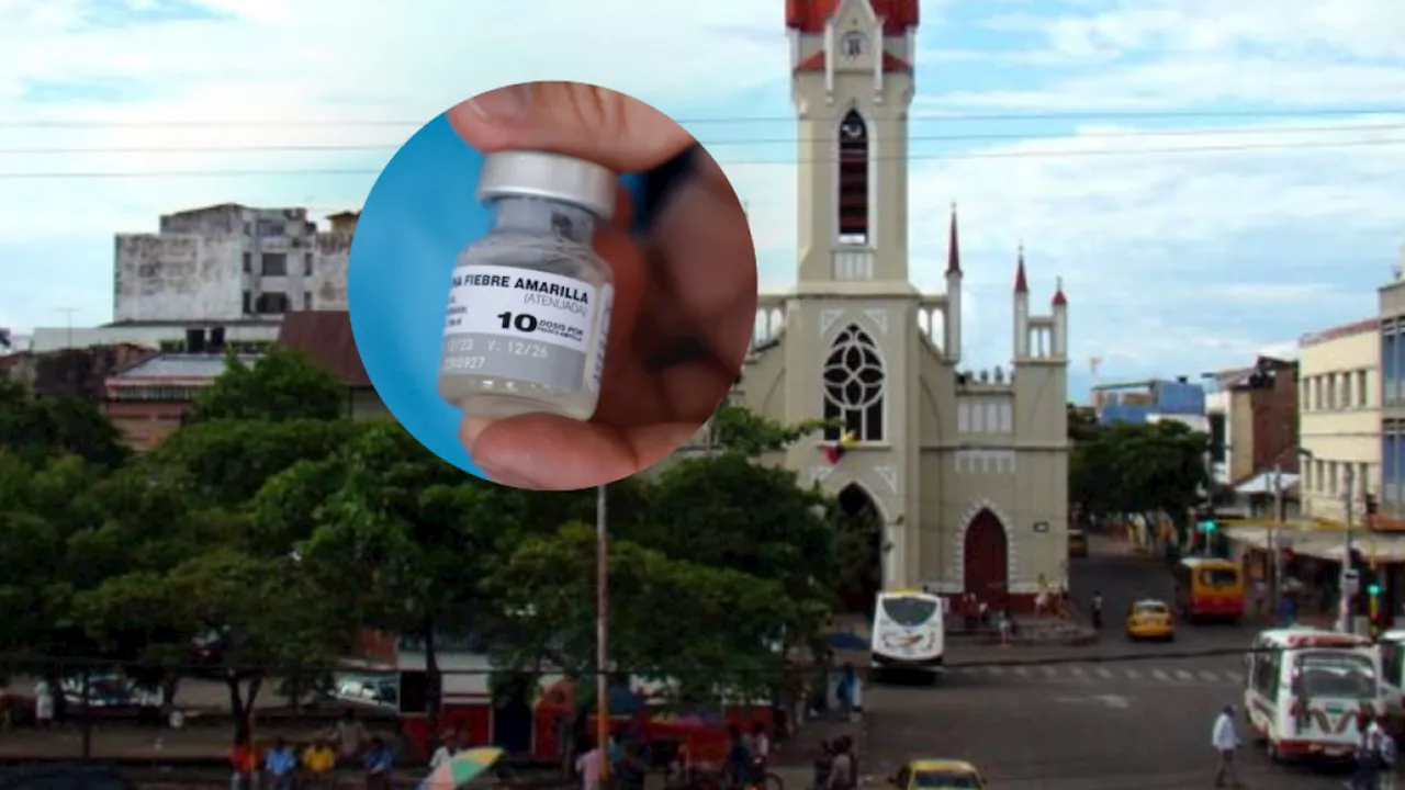Detectaron el primer caso de fiebre amarilla en Girardot; el alcalde les hizo llamado a los turistas y habitantes