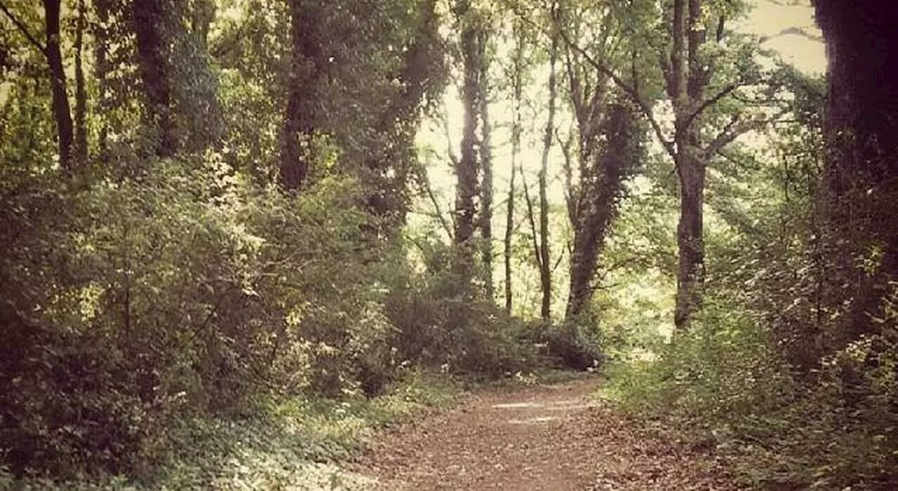 Bimbo di 6 anni sopravvive da solo in una foresta per 5 giorni: «Si è nutrito con i frutti trovati nella veget