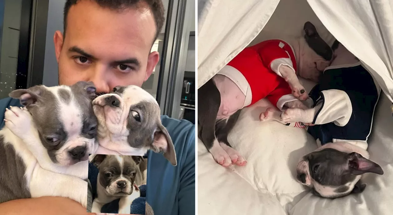 «Ho speso più di 40mila euro per clonare il mio cane prima che morisse: mi hanno detto che ho giocato a fare D
