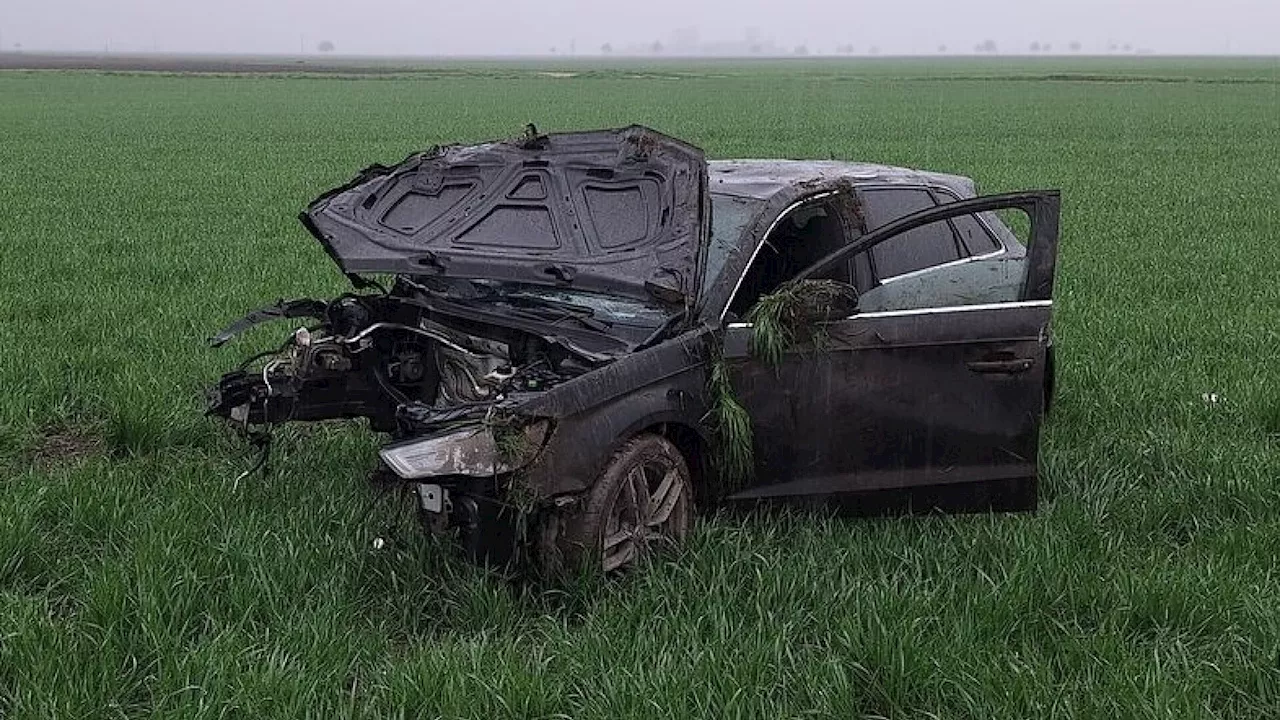 Mit Auto gegen Baum: Fahrer kam mit dem Schrecken davon