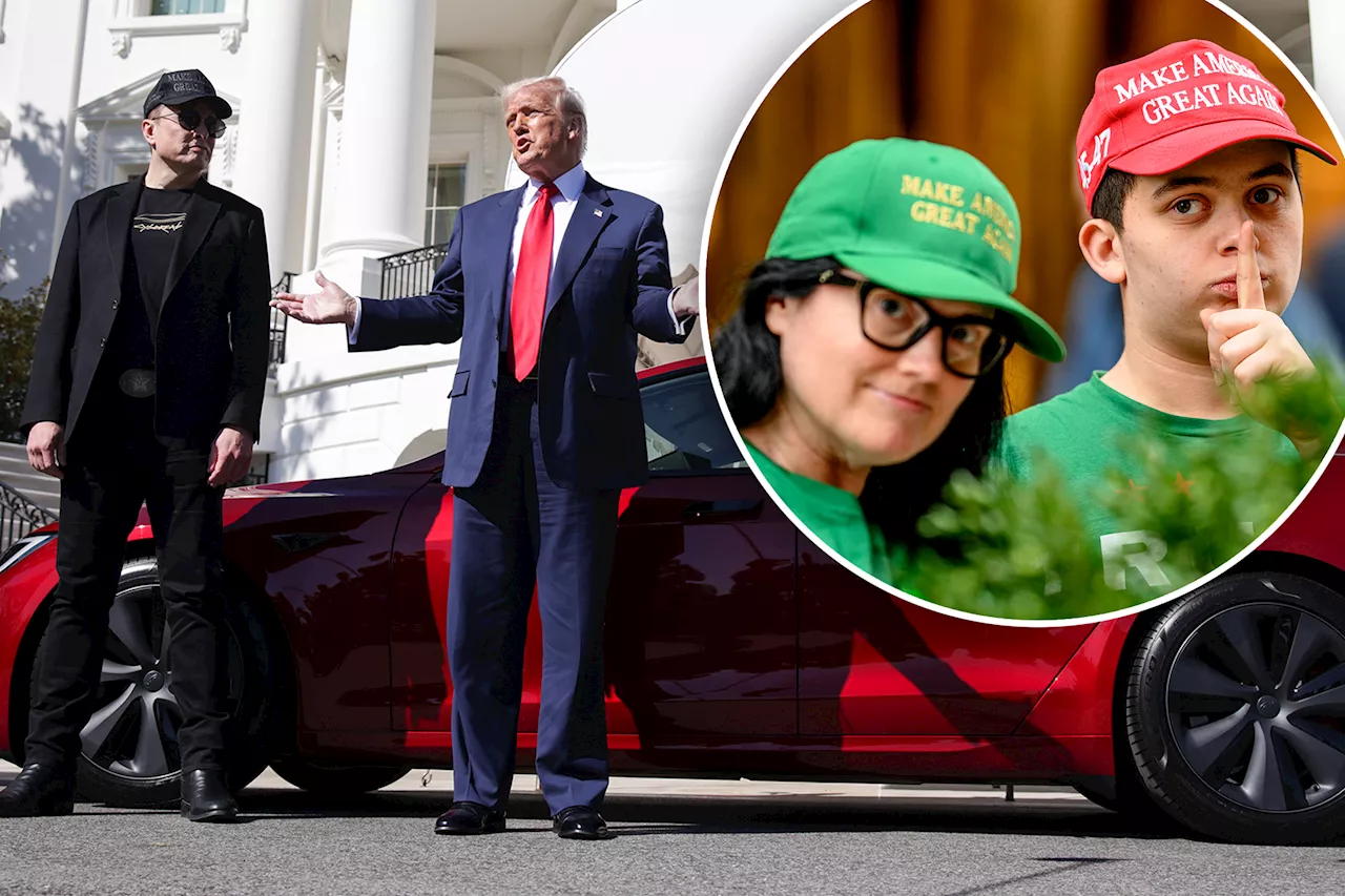 Liberals refuse to date Trump voters, Tesla owners as political polarization 'on steroids': DC matchmaker