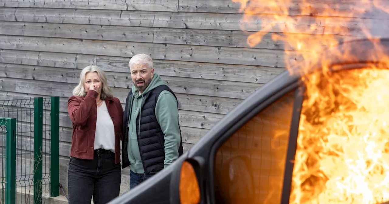 Fair City's Damien Halpin targeted in arson attack as work van set on fire