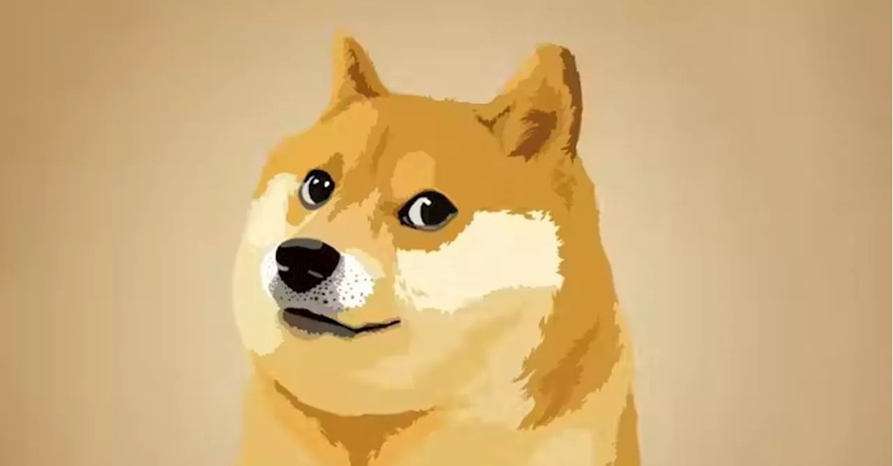 Quanta incertezza sul Doge, il dipartimento Usa per l’efficienza
