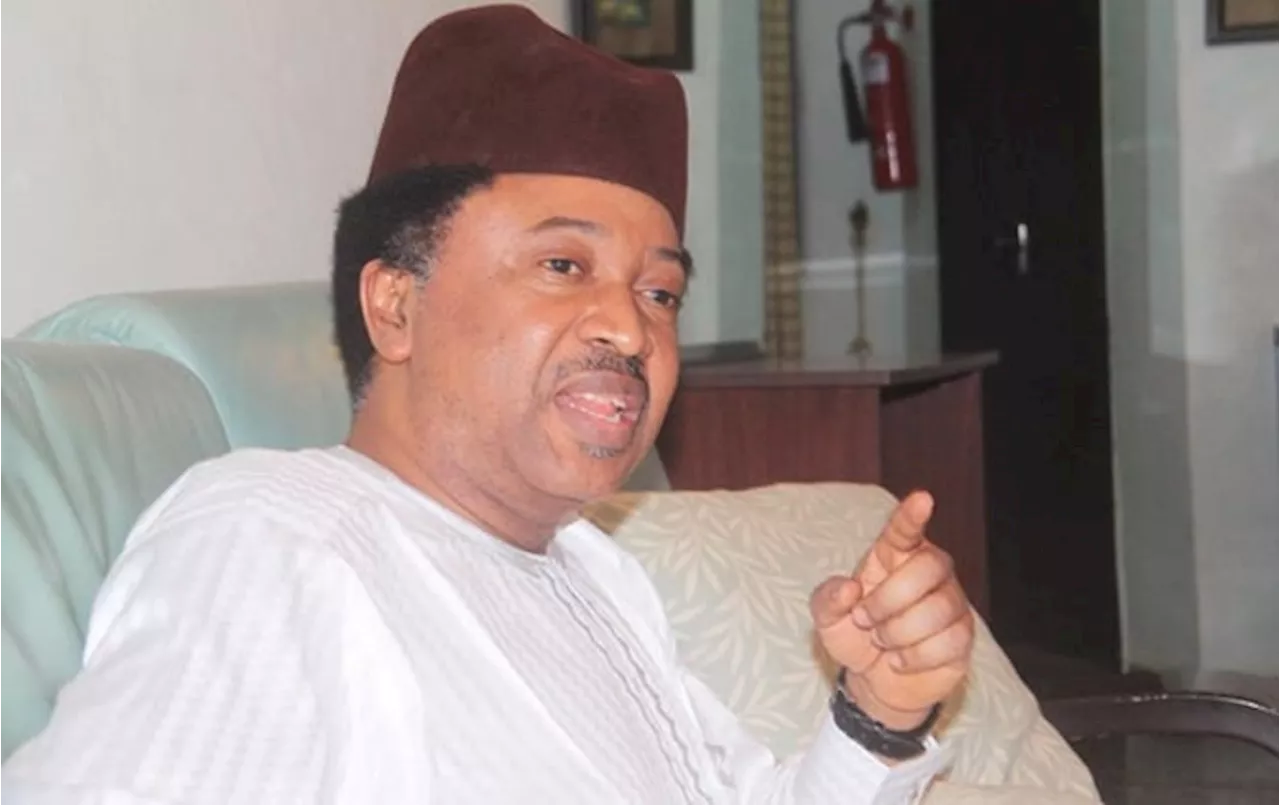 Avoid falling into nepotism trap, Shehu Sani cautions Tinubu