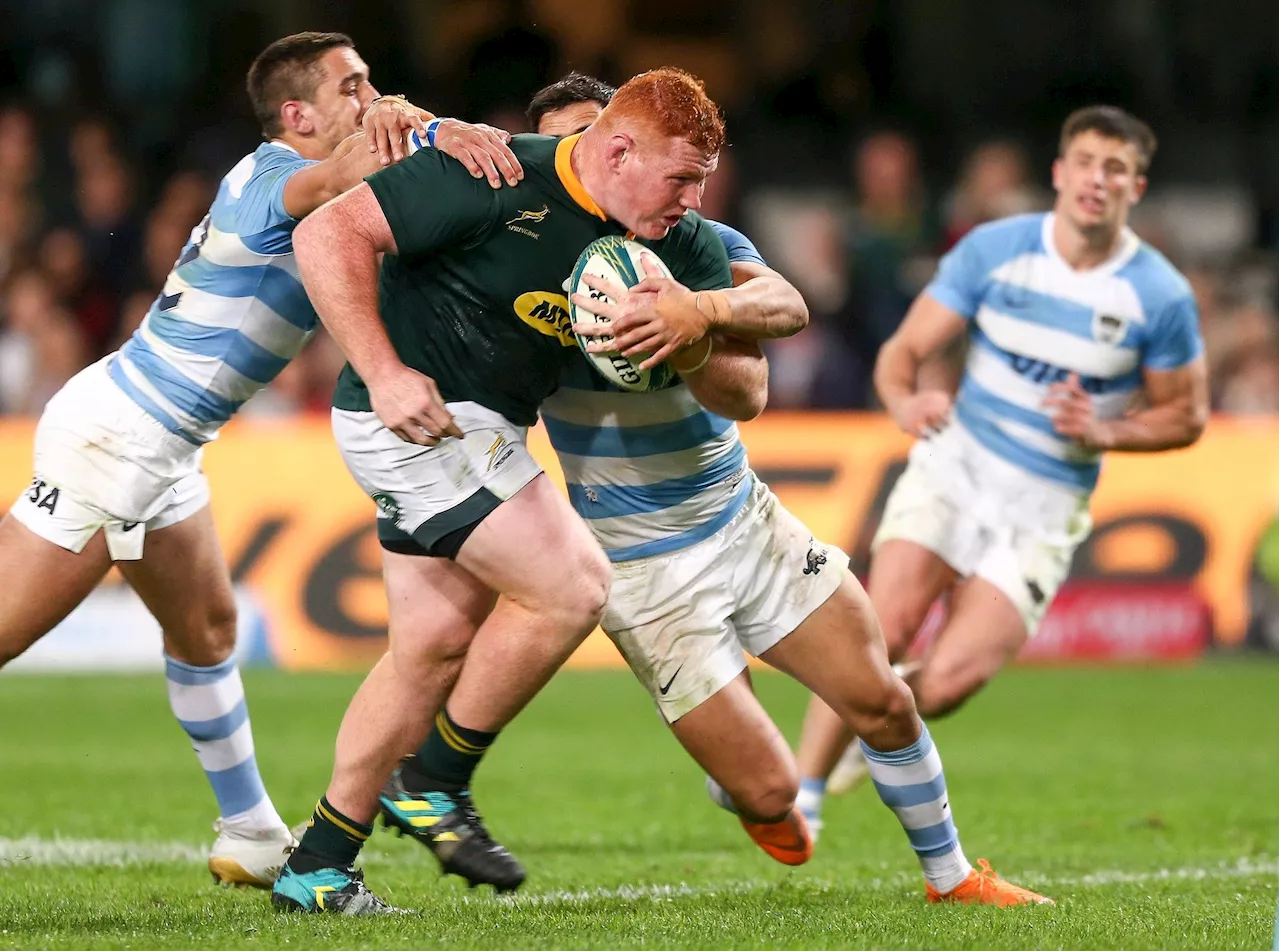 ‘Expert’ Williams embarrassed himself by insinuating Kitshoff retired because of Springbok Bomb Squad