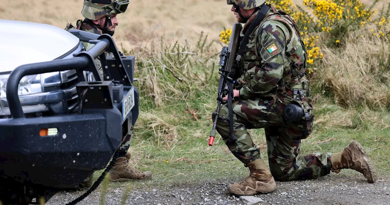 Poll shows Ireland’s attachment to neutrality is strong but nuanced