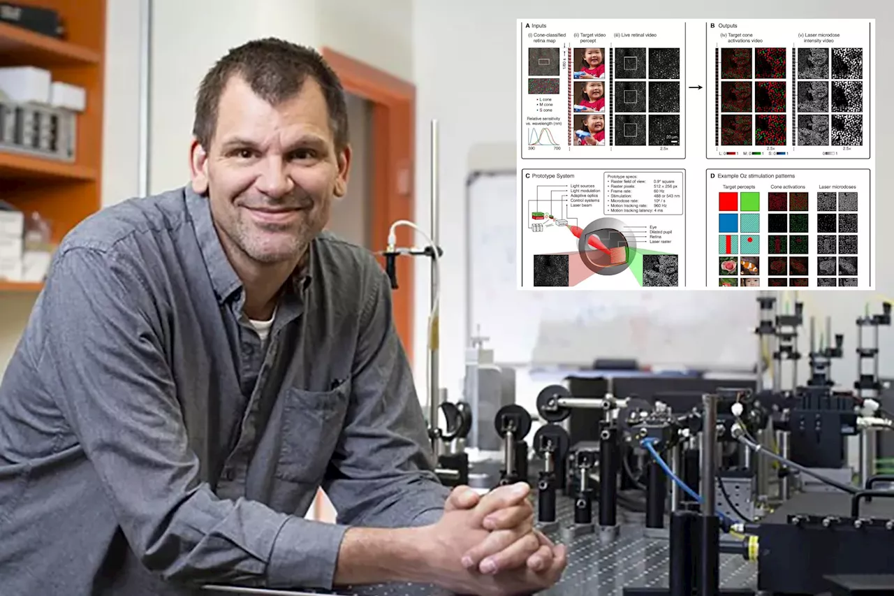 Scientists discover never-before-seen color by zapping eye with laser: 'Off the charts'
