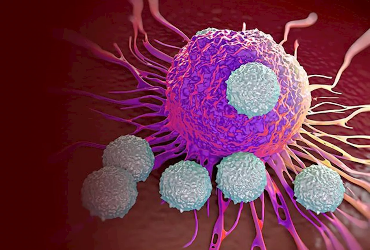 Losing their immunity after a measles infection