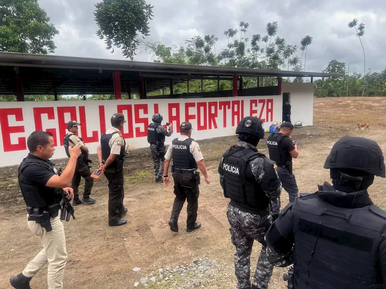 Gunmen disguised as soldiers kill 12 people at Ecuador cockfight