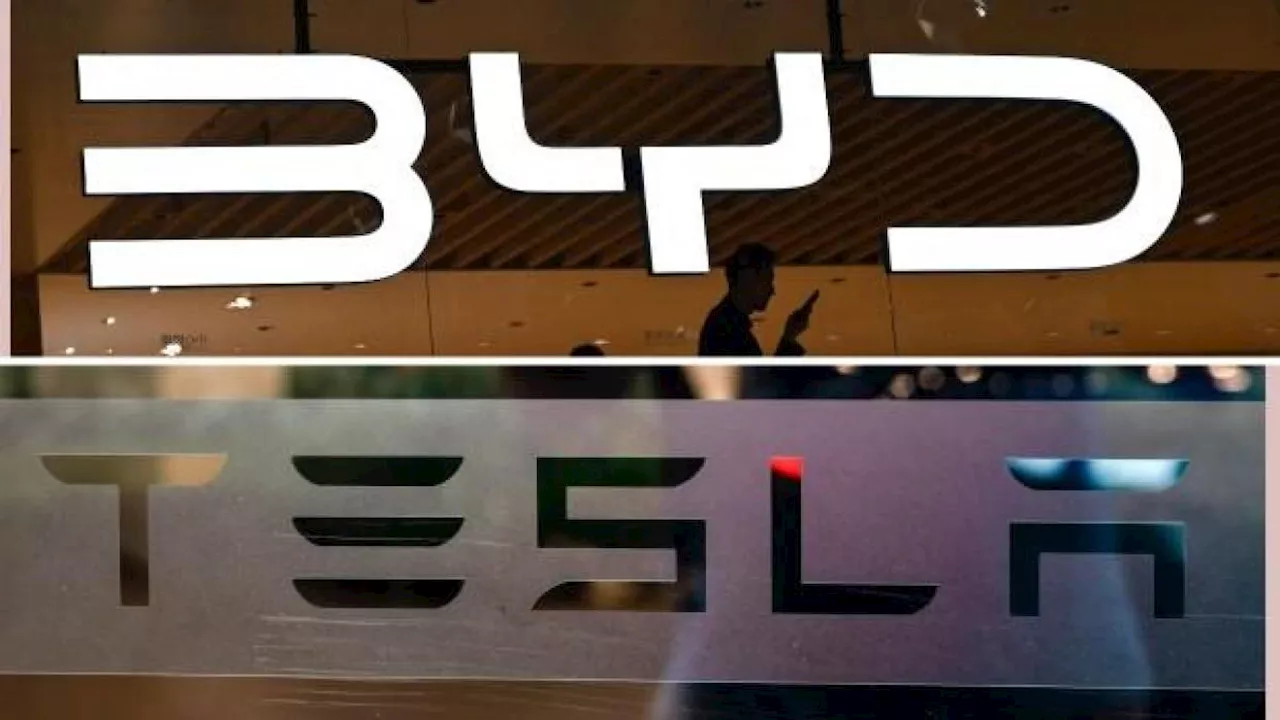 Tesla e Byd, chi vince e chi perde la corsa per le elettriche
