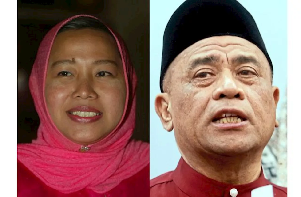 Former Perak Wanita Umno chief's move to PAS long expected, no impact, says Saarani