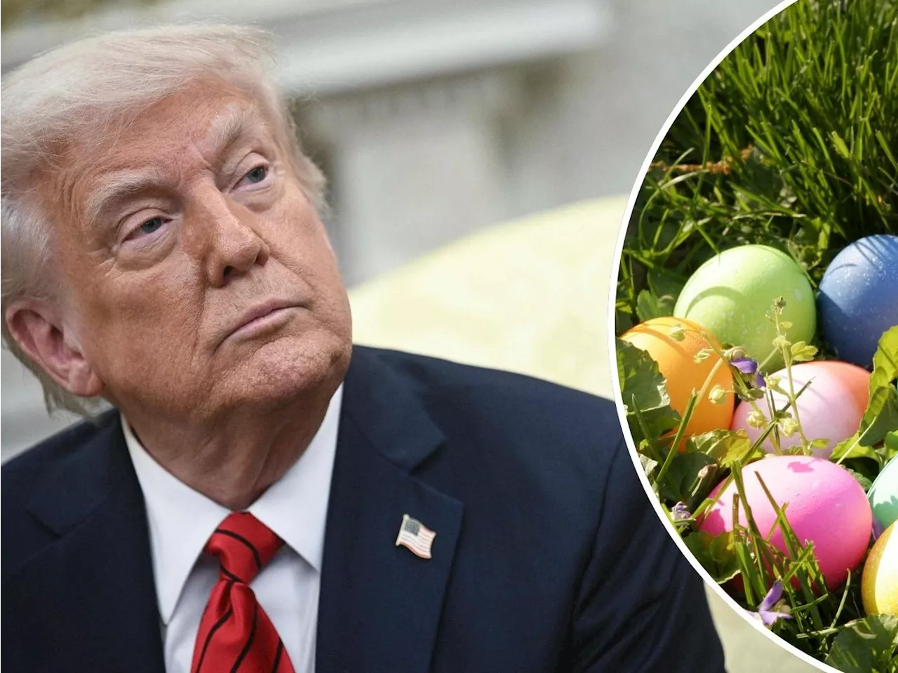 Eierpreise explodieren trotz Trumps Jubel – Was wirklich hinter dem Anstieg steckt
