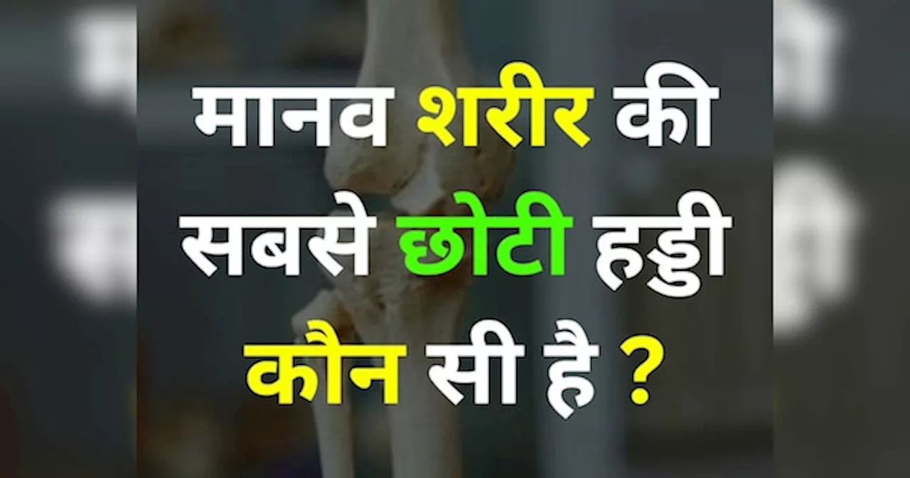 GK Quiz: बताओ मानव शरीर की सबसे छोटी हड्डी कौन सी है?