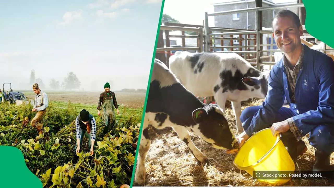 “There Were Good Times and Bad Times”: 6 Inspiring Stories of Farmers Living the Dollar Dream