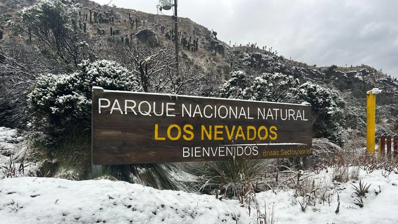 El Parque Los Nevados cierra sus puertas al público para darle descanso al ecosistema: esto es lo que debe saber