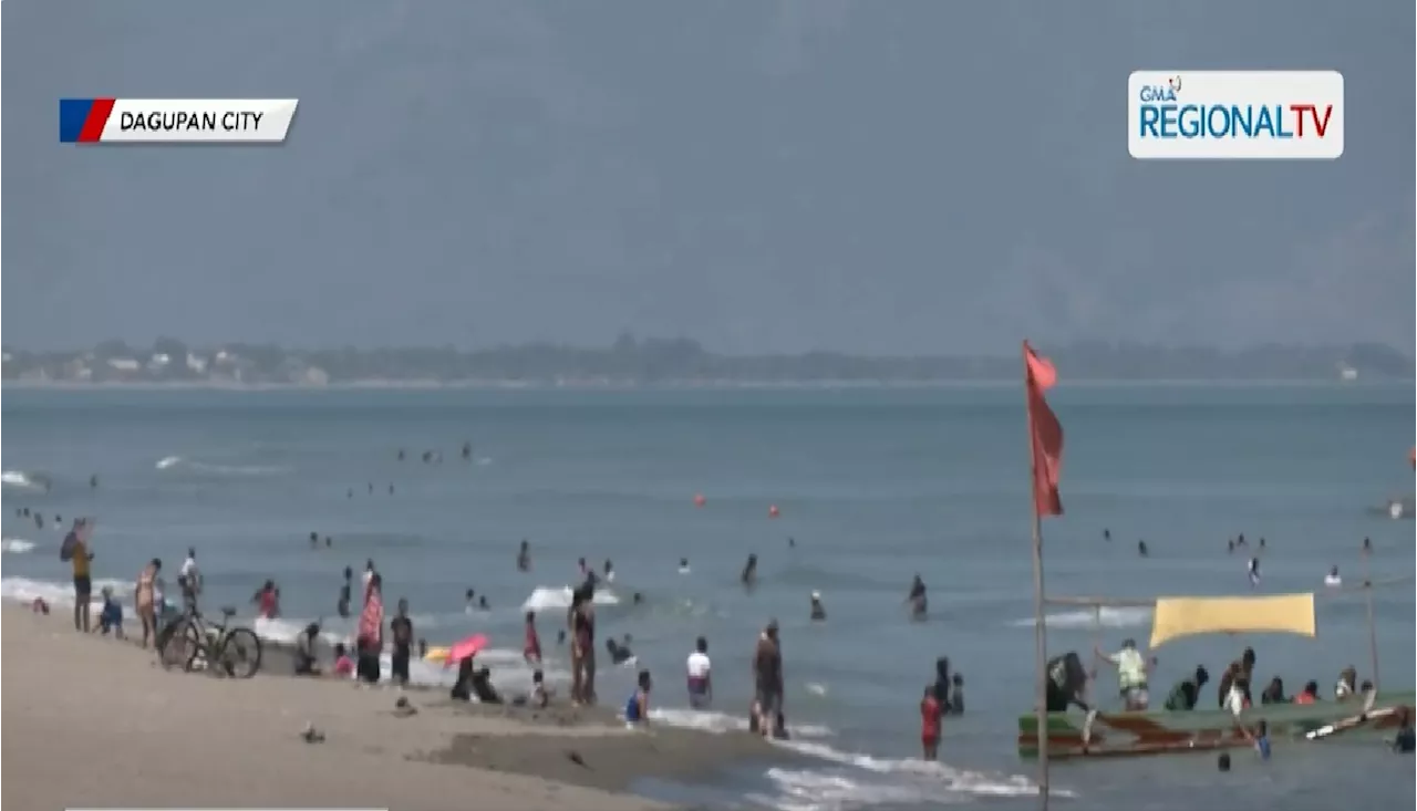 Kaso ng jellyfish sting sa Pangasinan, umabot sa 57 mula April 17 hanggang April 20, 2025