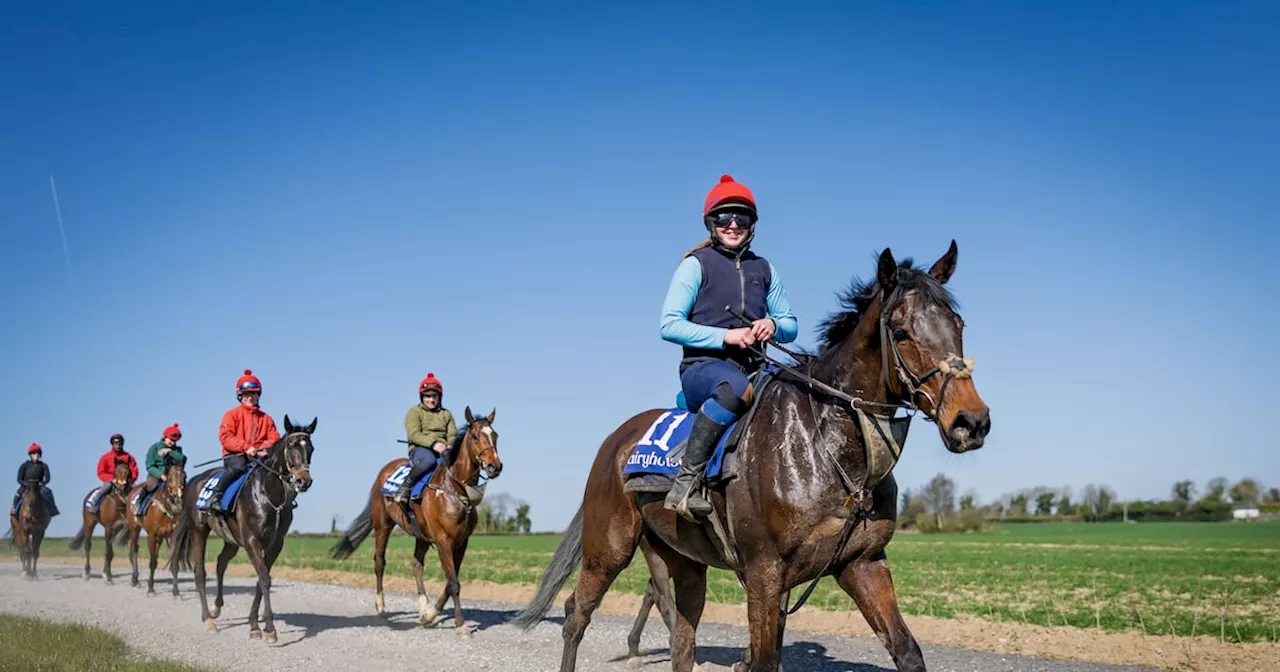 Gavin Cromwell tries to put seal on landmark campaign with first Irish Grand National success