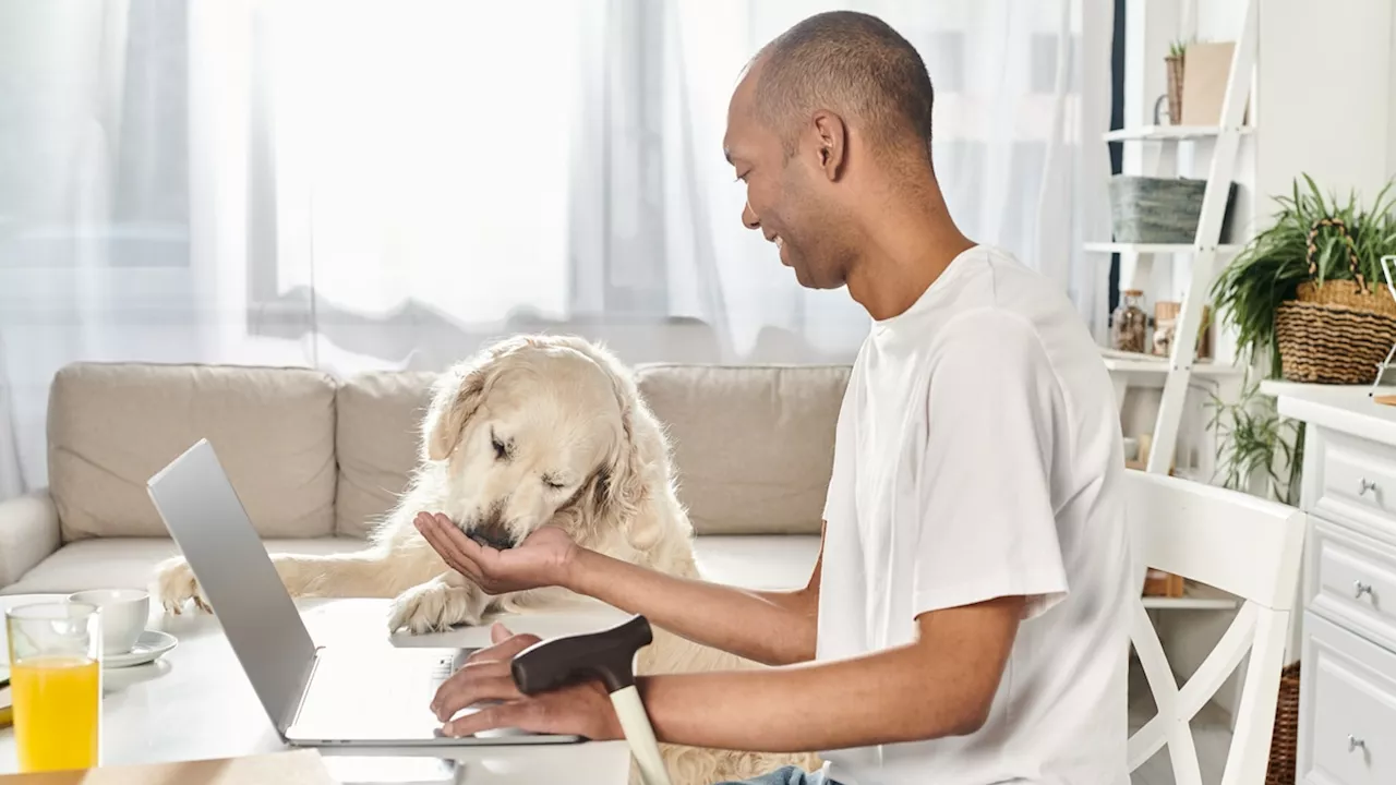 Warning to companies about work-from-home in South Africa