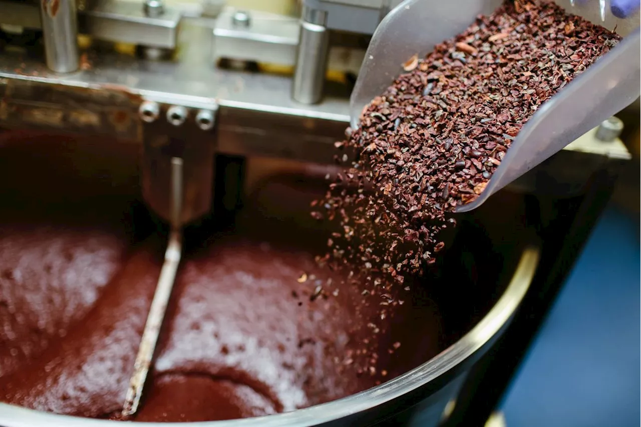 The surprising uses of cacao that go beyond chocolate