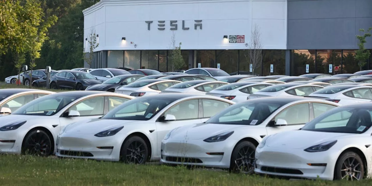 Tesla earnings live updates: Musk talks DOGE 'blowback,' tariff impact