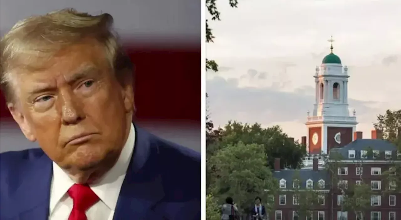 US Senator reacts as Harvard University sues Trump’s administration over slashed billions in funding