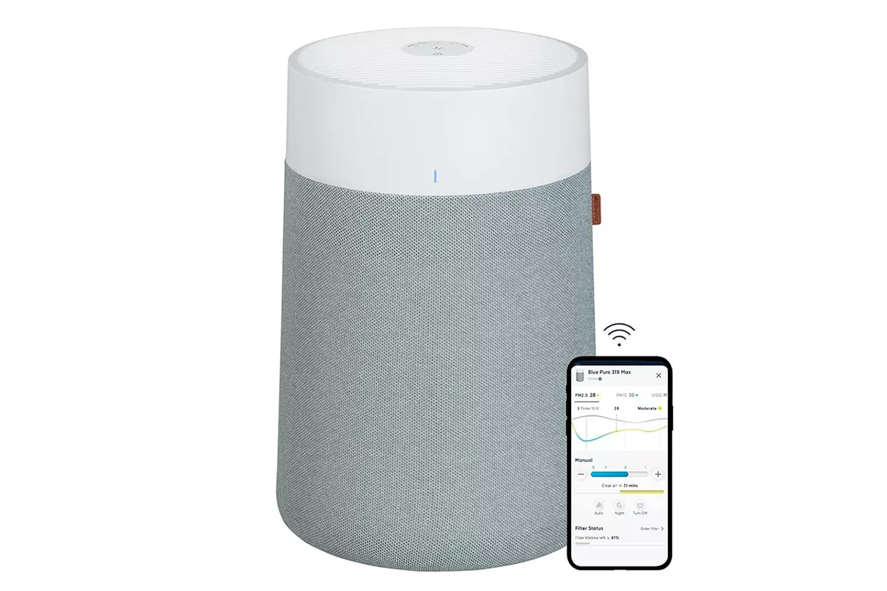 Spring Pollen Sucks, but This Cheaper Than Ever Blueair Purifier Deal on Amazon Doesn’t