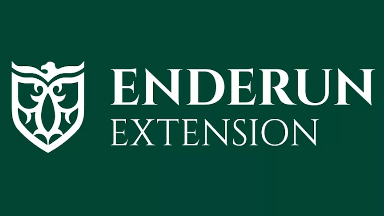 Enderun Extension to offer tech-focused certification programs