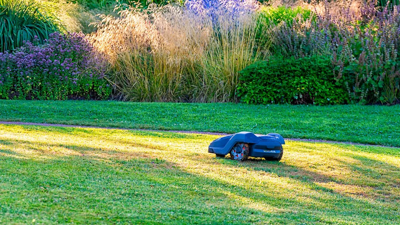 Mähroboter für große Flächen: Drei gründliche Modelle für über 1.000 Quadratmeter