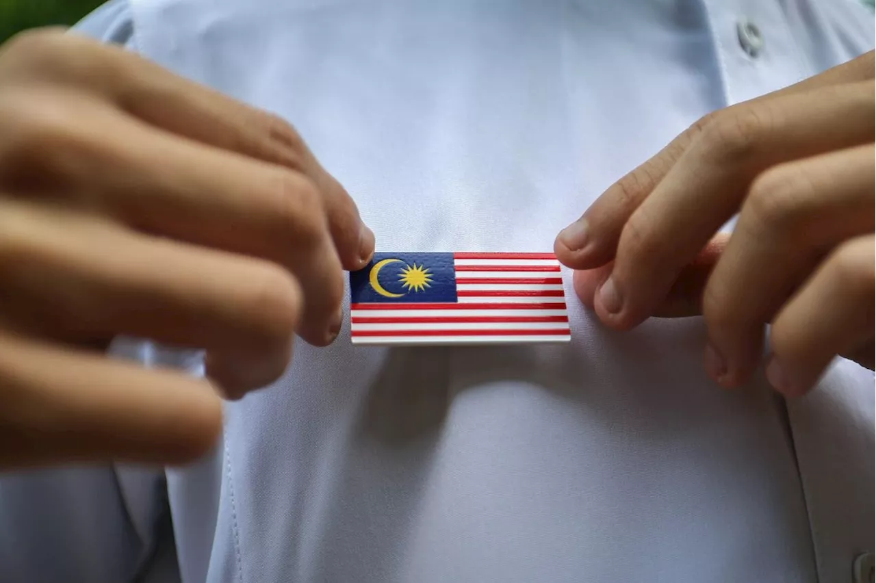 Patriotism goes beyond symbols, says Lee
