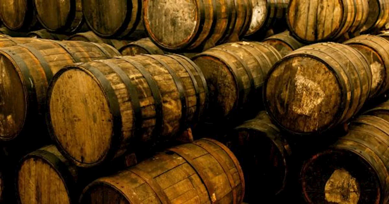 COVIAR: un proyecto de un diputado aliado del Gobierno reabre la grieta entre las bodegas