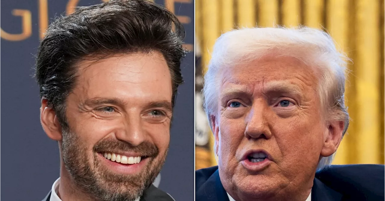 Sebastian Stan Names 1 Thing He Thinks Donald Trump Liked About The Film The Apprentice