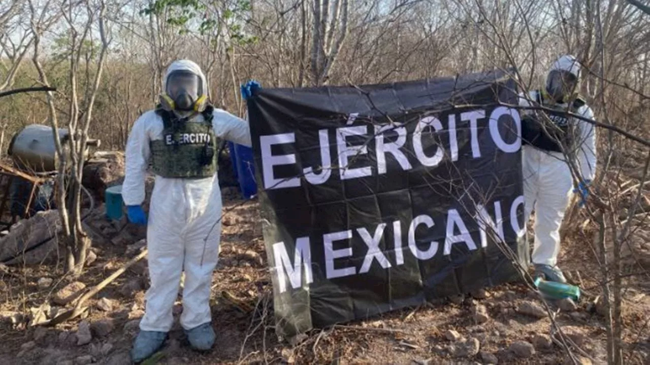 Operación Frontera: Van más de 29 mil kilogramos de droga decomisada
