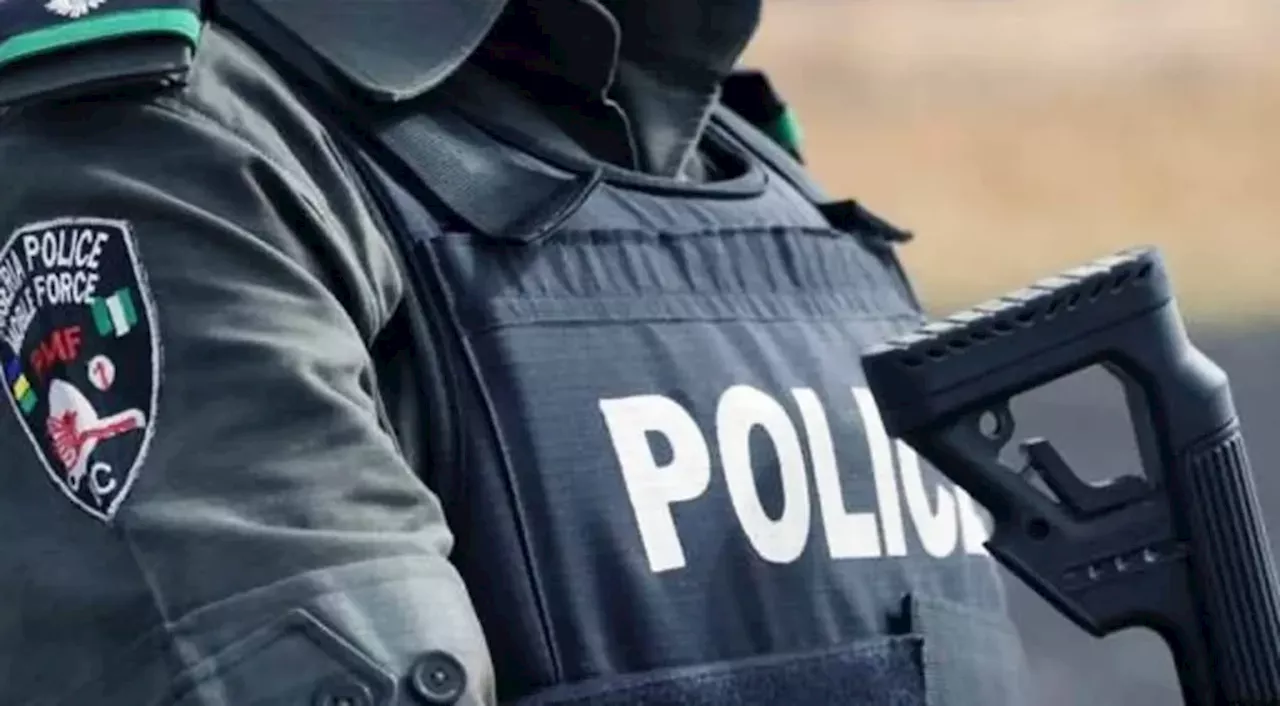 IGP Deploys Special Squad, Orders PMF on High Alert as Violence Escalates Across Nigeria