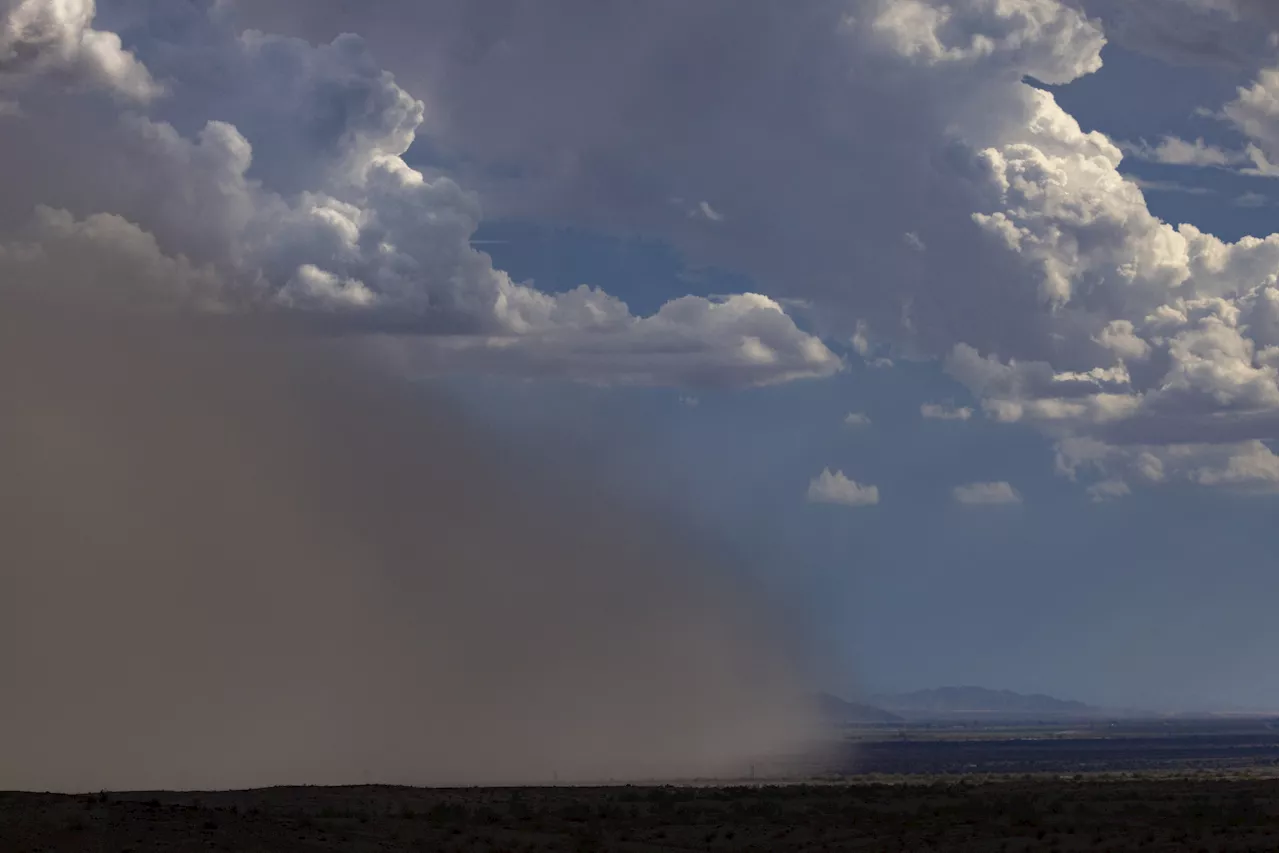 Massive Dust Storm Seen From Space