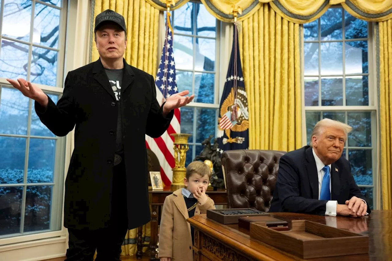 Moving fast and breaking everything: Musk's rampage through US govt