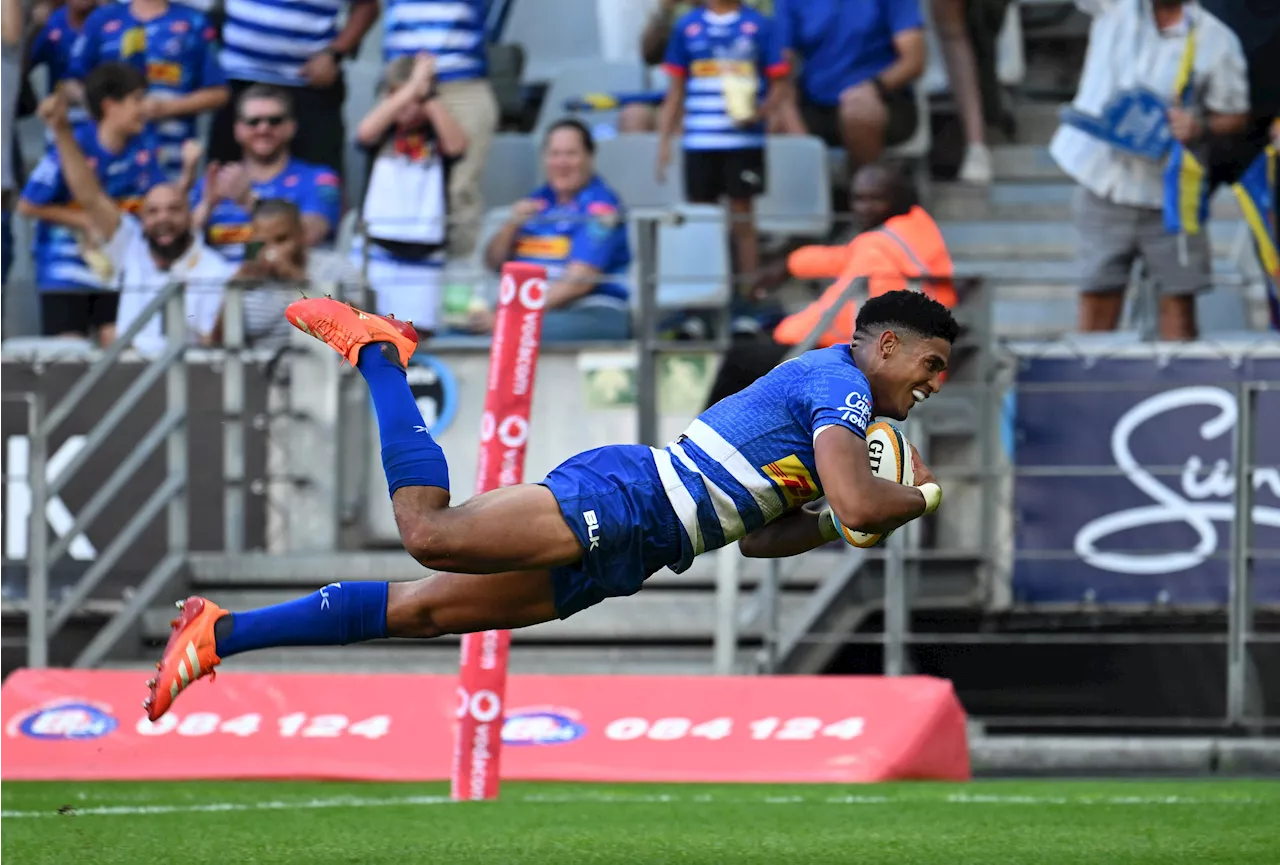 Should Feinberg-Mngomezulu or Pollard be Springbok flyhalf in All Blacks Eden Park Test?