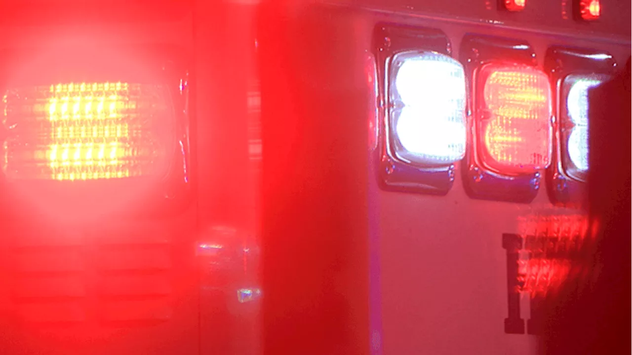 Child survived on chocolates after becoming trapped in apartment with dead mom, brother