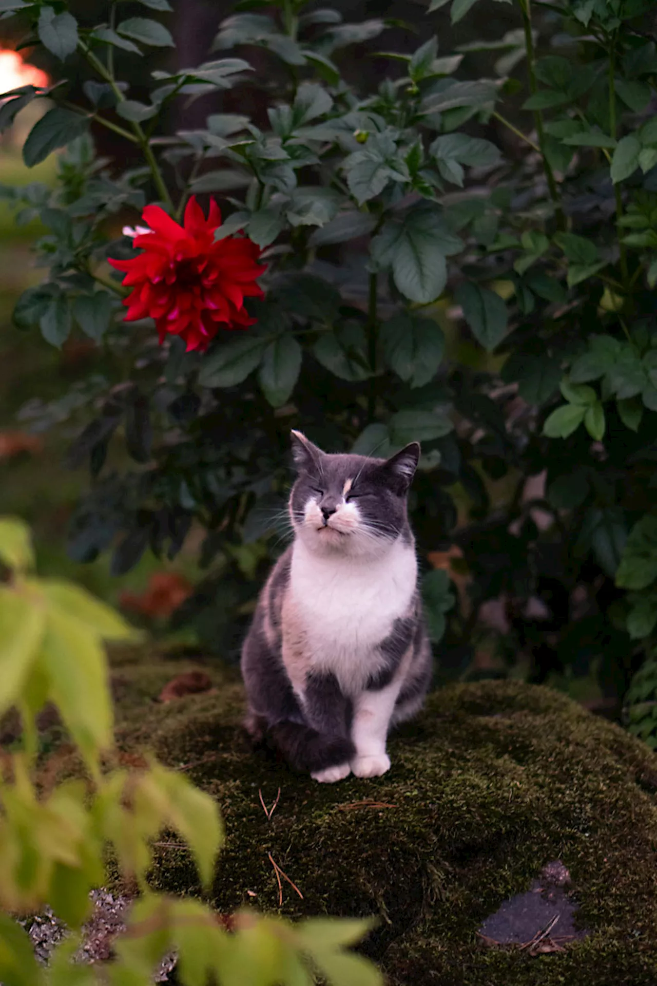 Qmmunity: Springtime Socializing