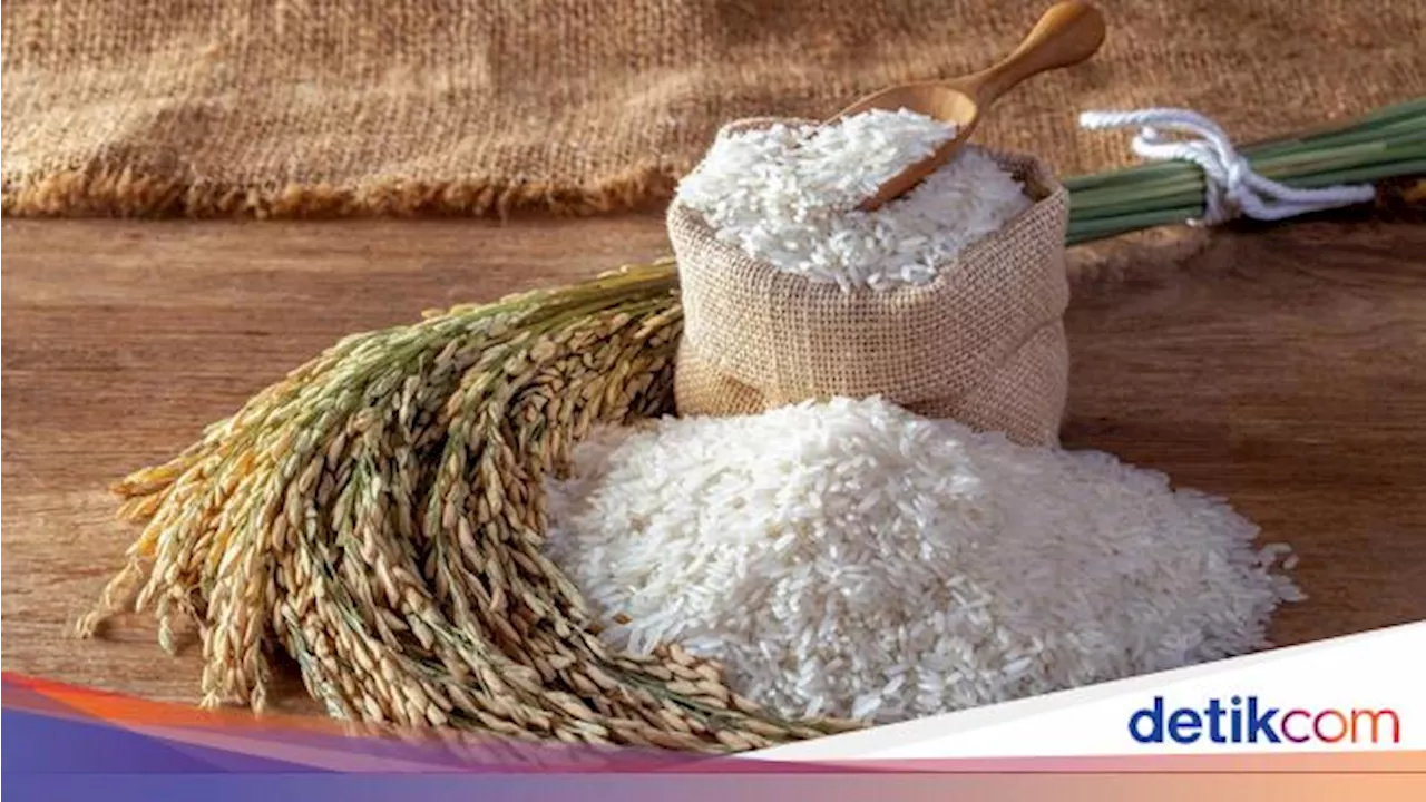 Pemerintah Sebut RI Sudah Swasembada Beras