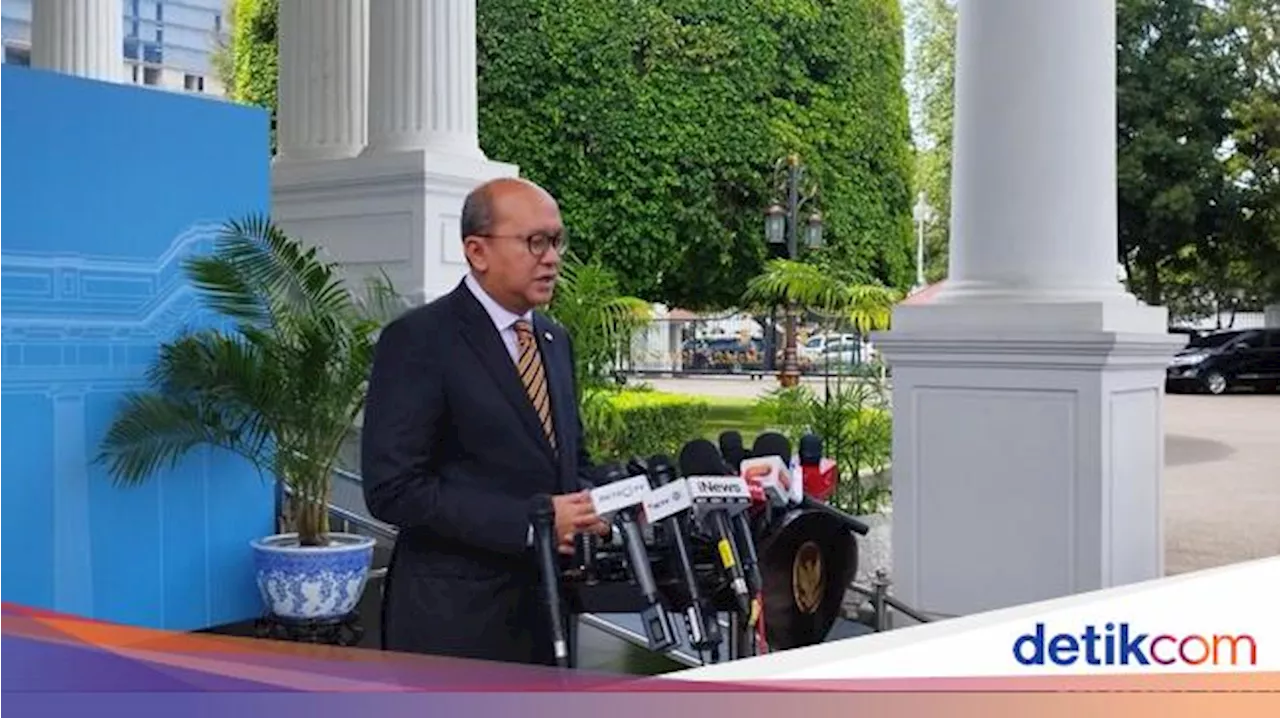 Rosan Ungkap Ada Dua Negara Lagi 'PDKT' ke Danantara