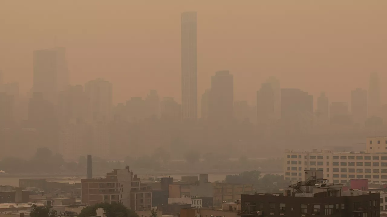 Nearly half of Americans breathe unhealthy air; California cities worst hit: Report