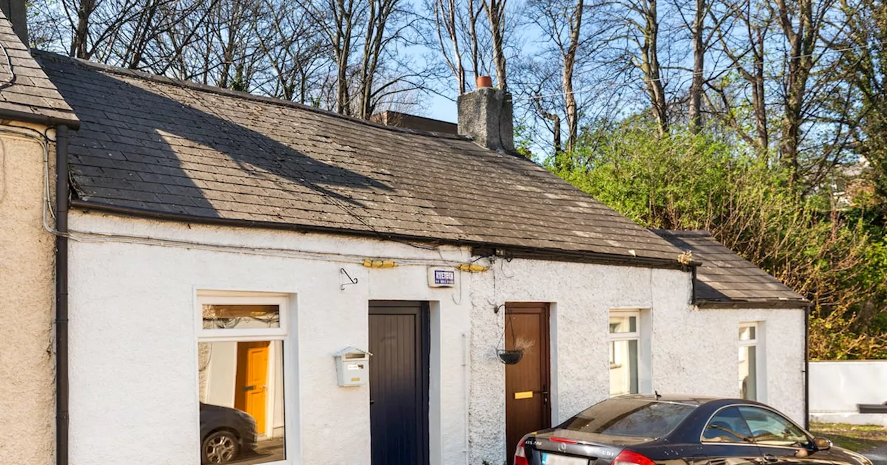 Five homes on view this week in Dublin and Wexford from €275,000 to €1.25m