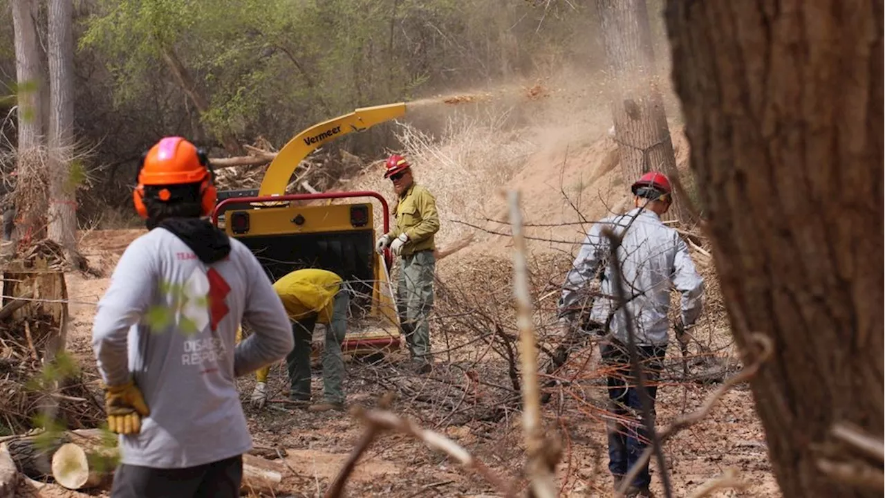 Team Rubicon: Veteran-led crew serves Moab with wildfire mitigation project