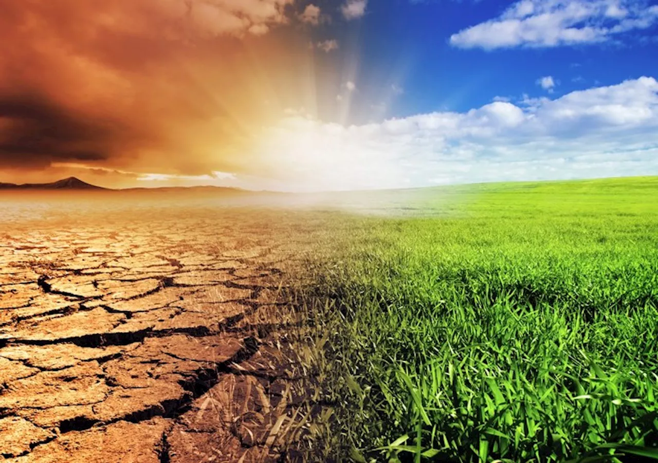 Coalition trains African journalists on climate reporting