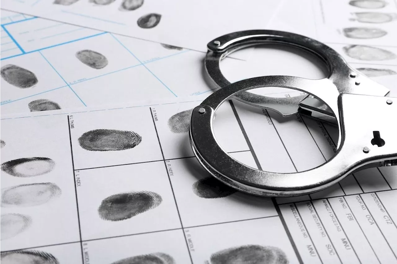 Beitbridge Port sting operation uncovers corruption among border officials