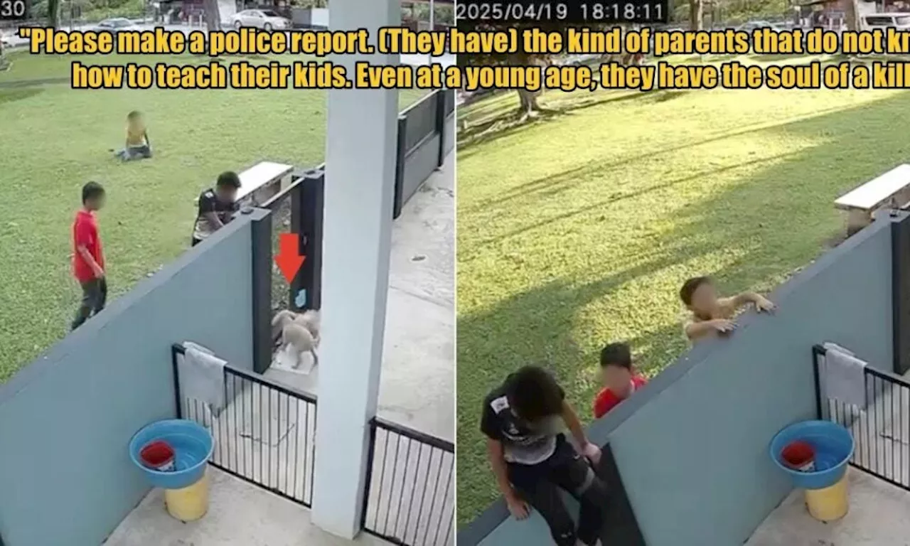 M'sian Shares How Kids Shoved a Kitten Through Her House Gate for Her Dogs to Maul It to Death
